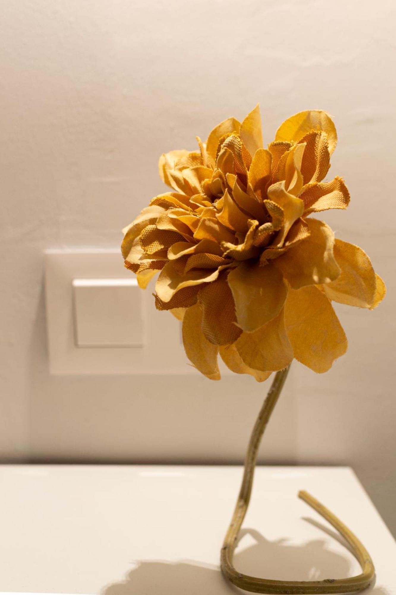 Appartement Vivienda Turistica Casa Quevedo à Úbeda Extérieur photo
